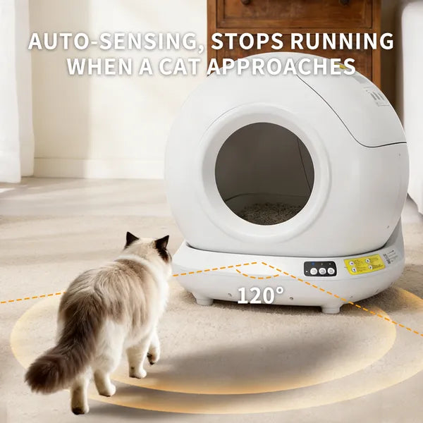Automatic Self-Cleaning Cat Litter Box | 78L Smart App Control